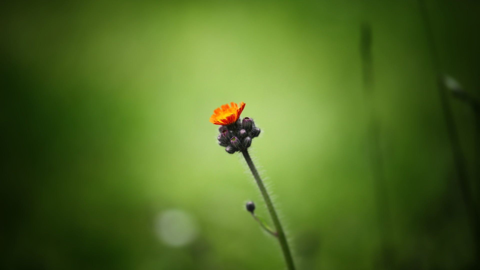 d81716448820240925082631