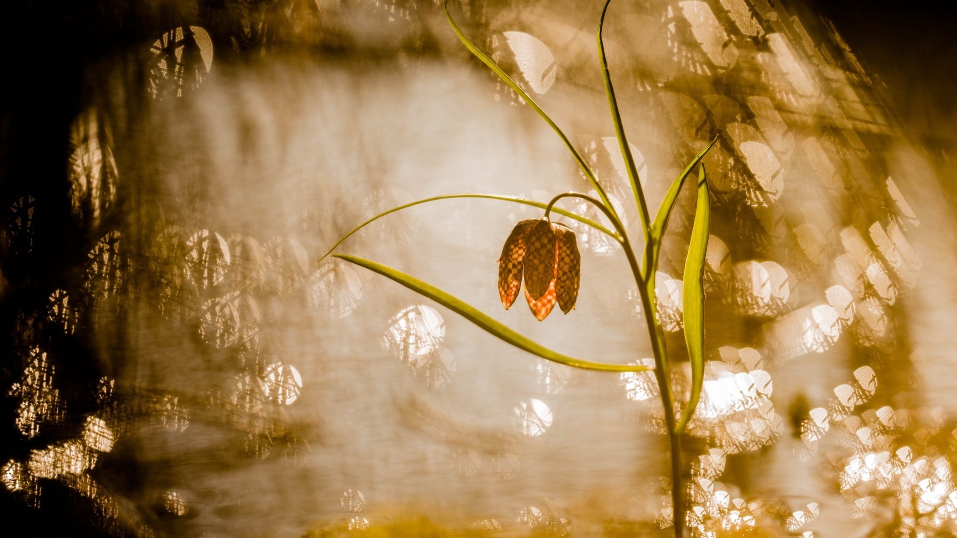 5fafd08f1120240925082637