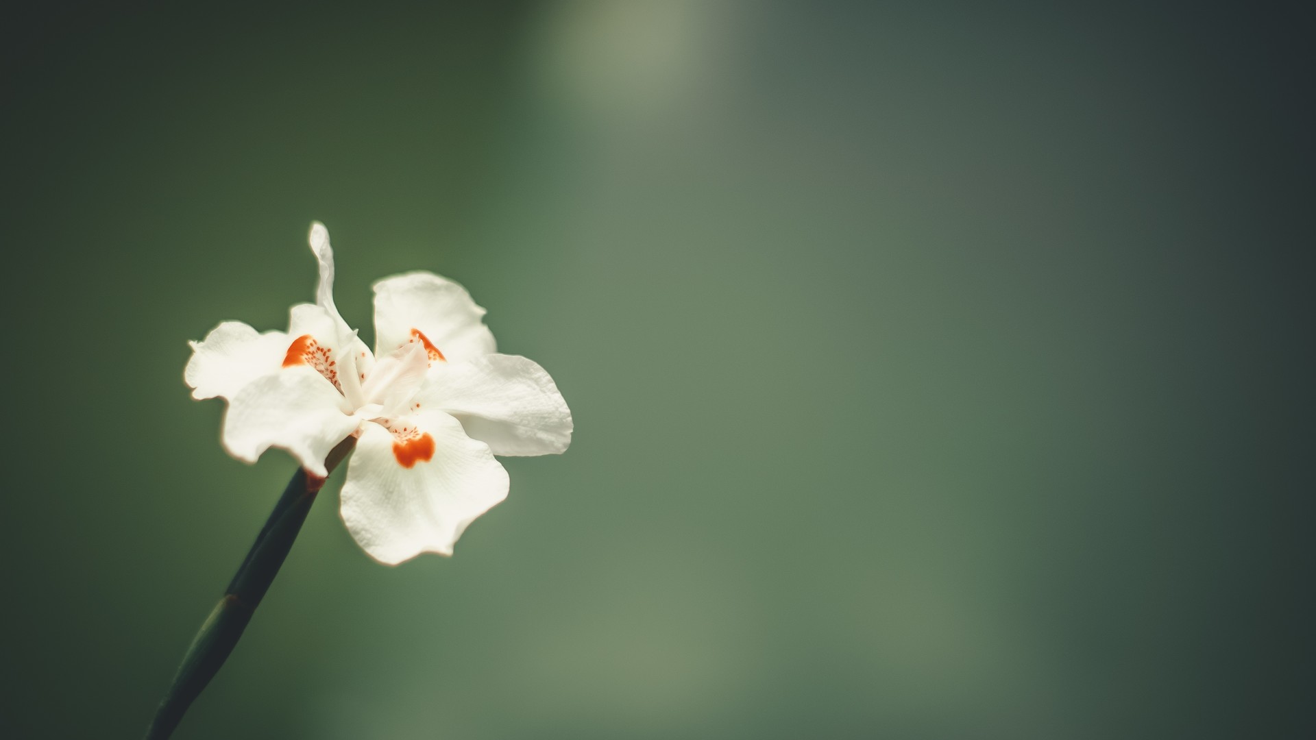 7eb2c060cf20240925082659