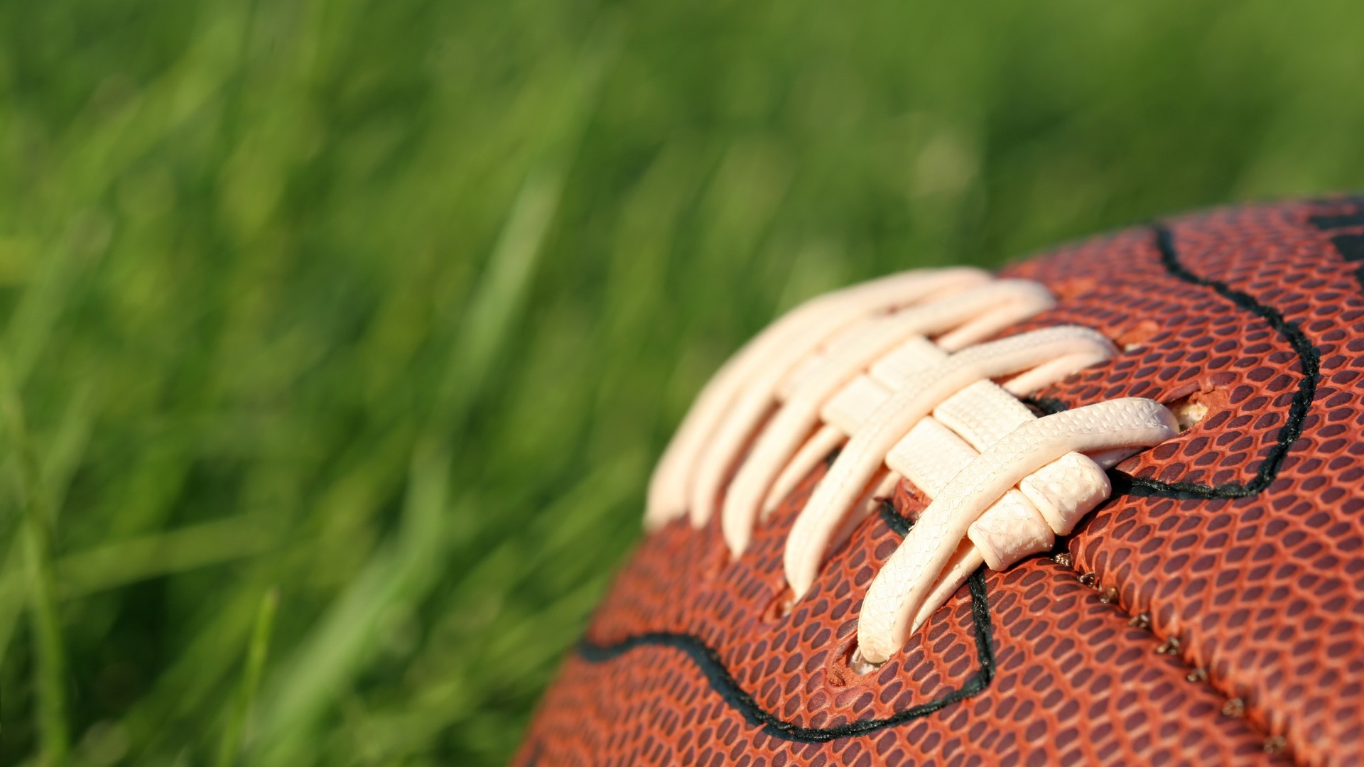 48e8c1c2c220240928082709