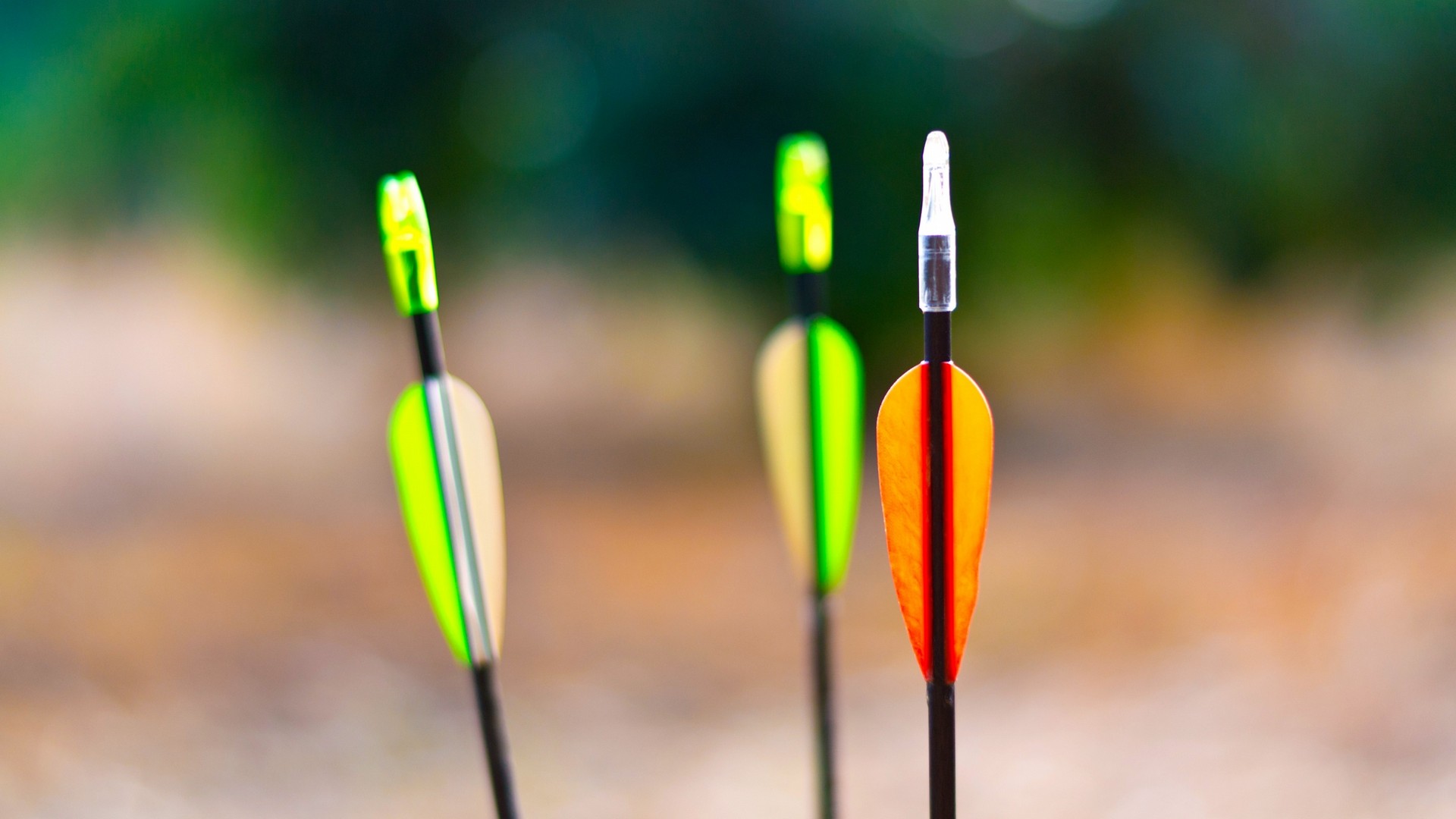 76bf51cdaa20240928082730