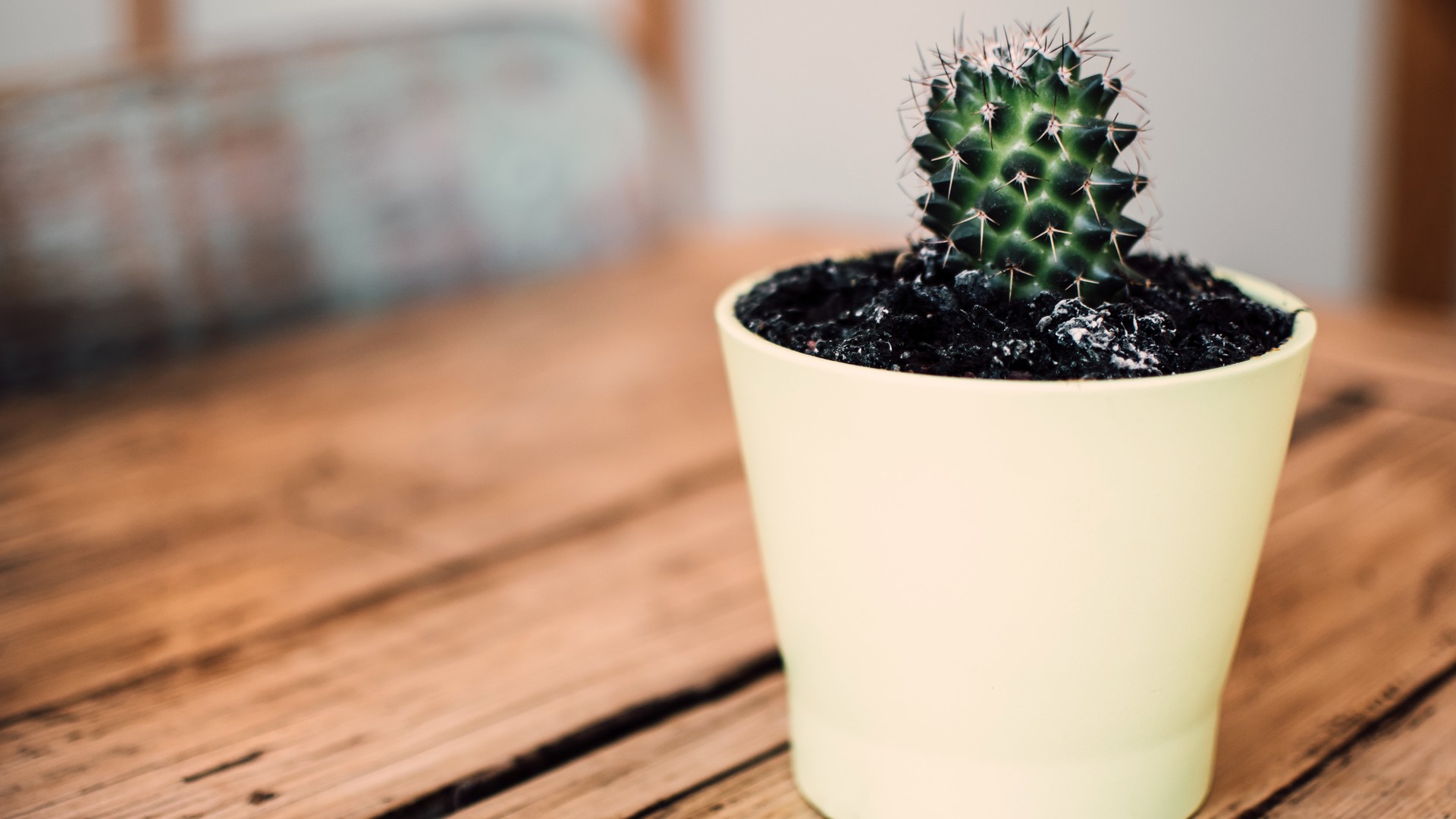 736057197420240929081755