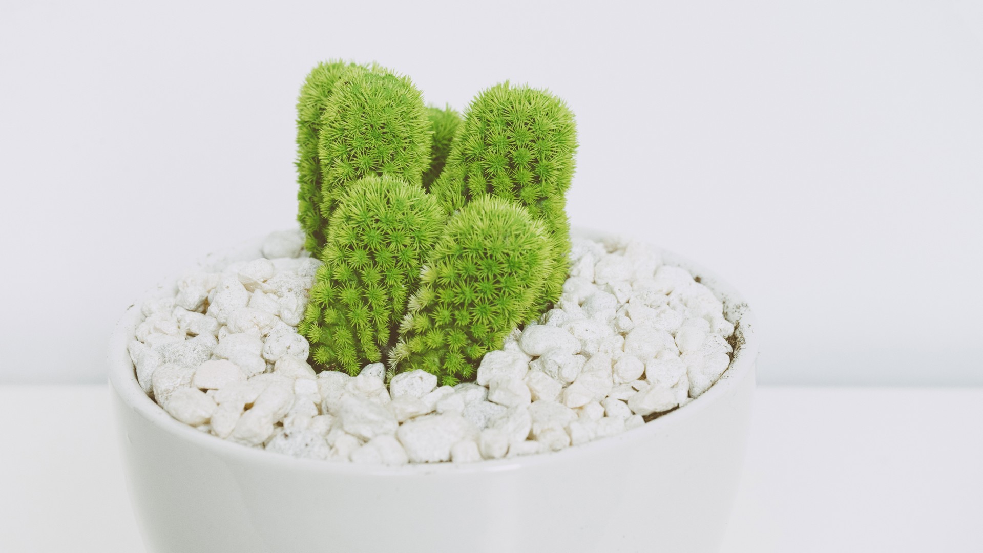 231044077a20240929081903