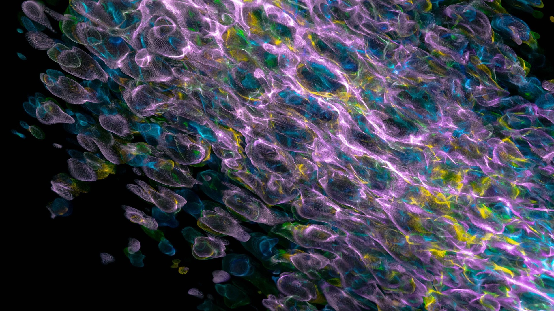 20e9ad13c120241010083605