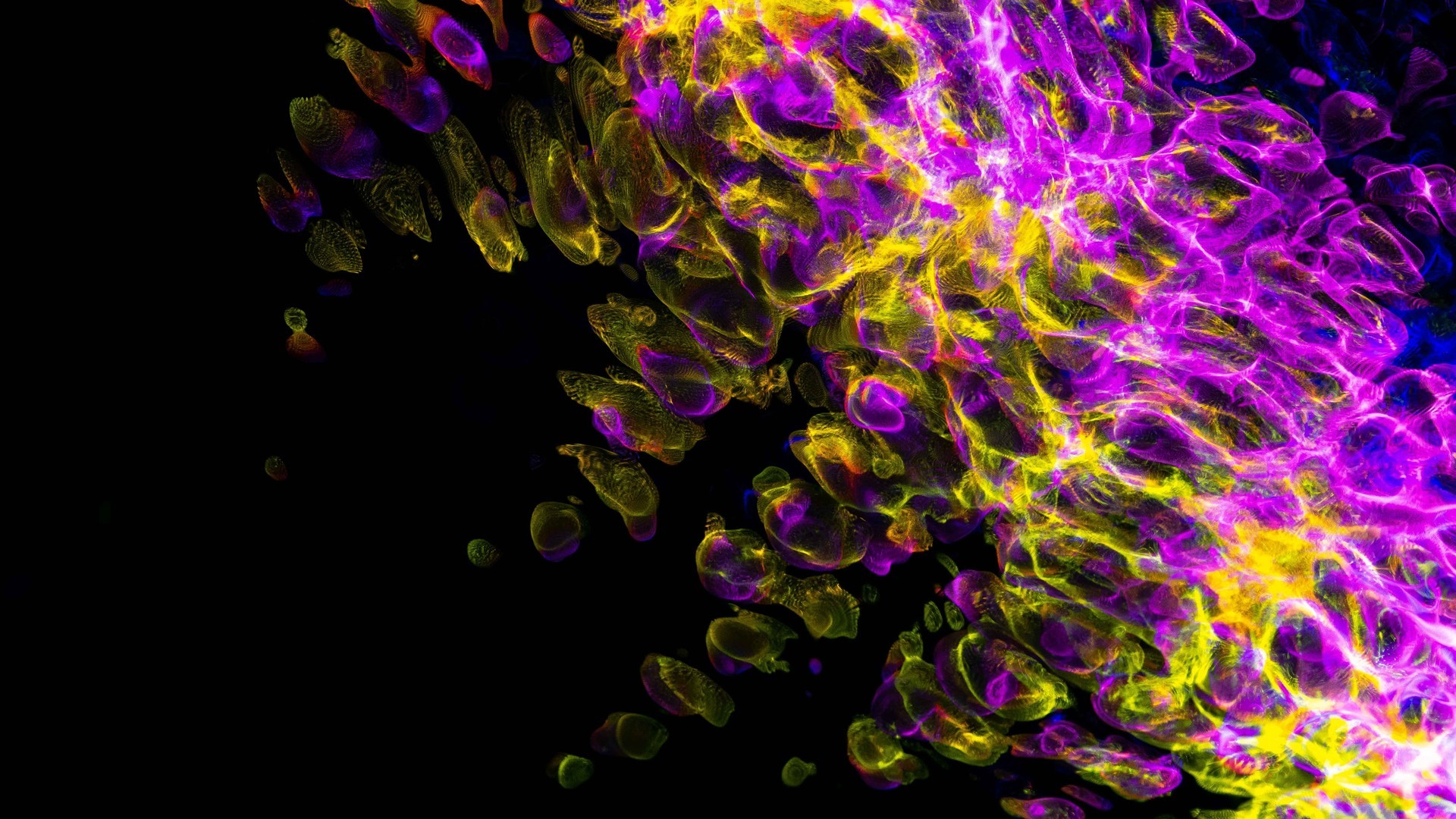 ba9257207220241010083630