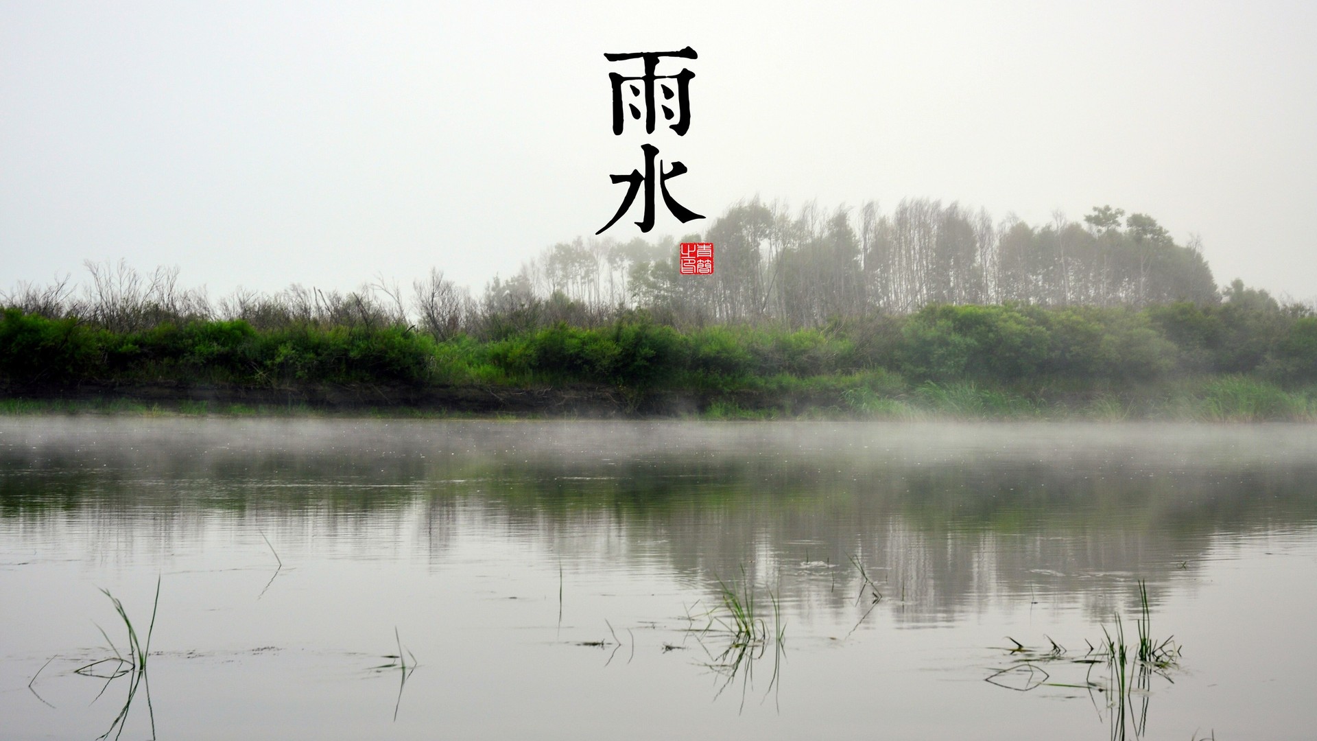 d14d6ef07d20241011084236