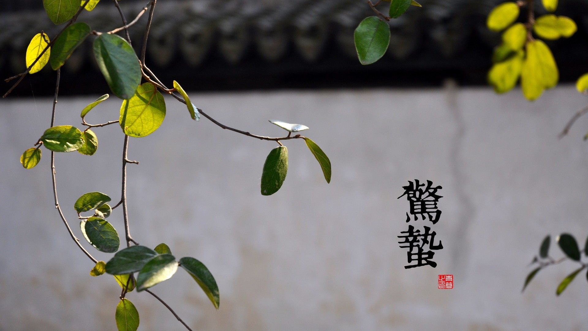 80d962648820241011084245