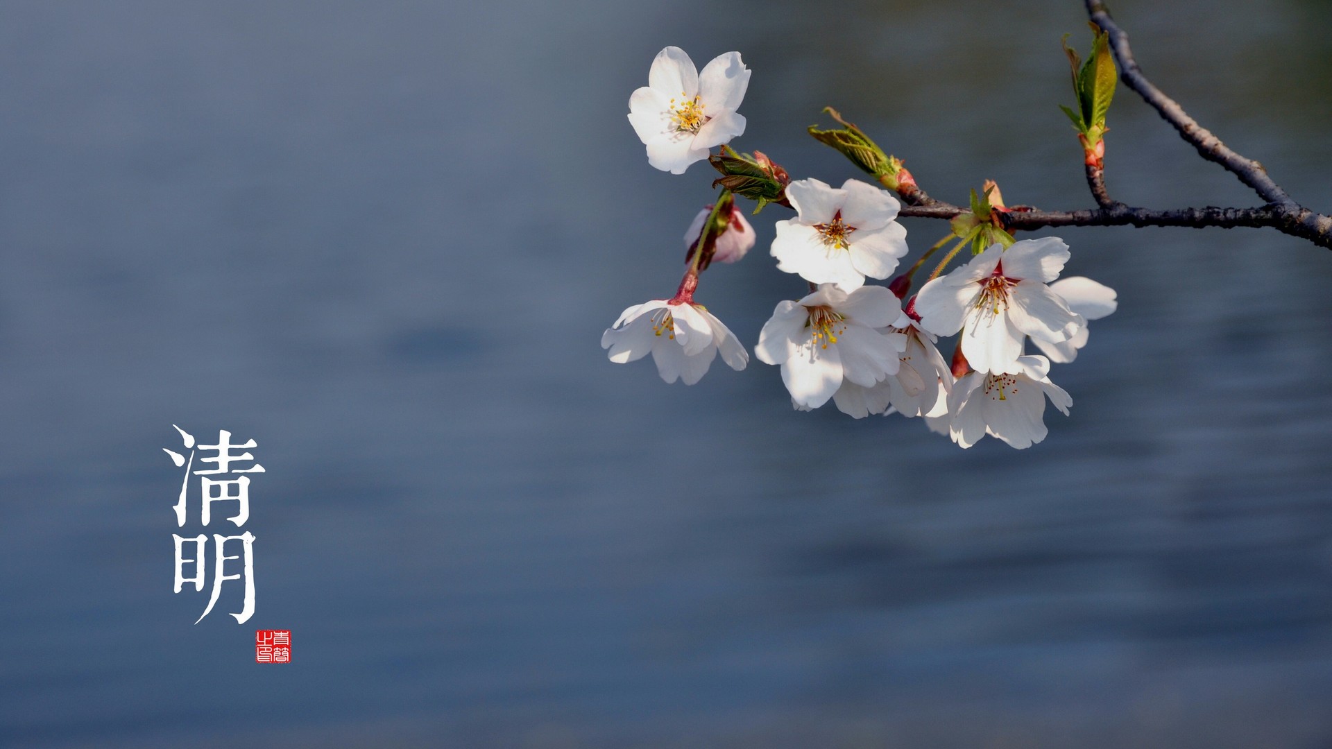 e4af38047920241011084304