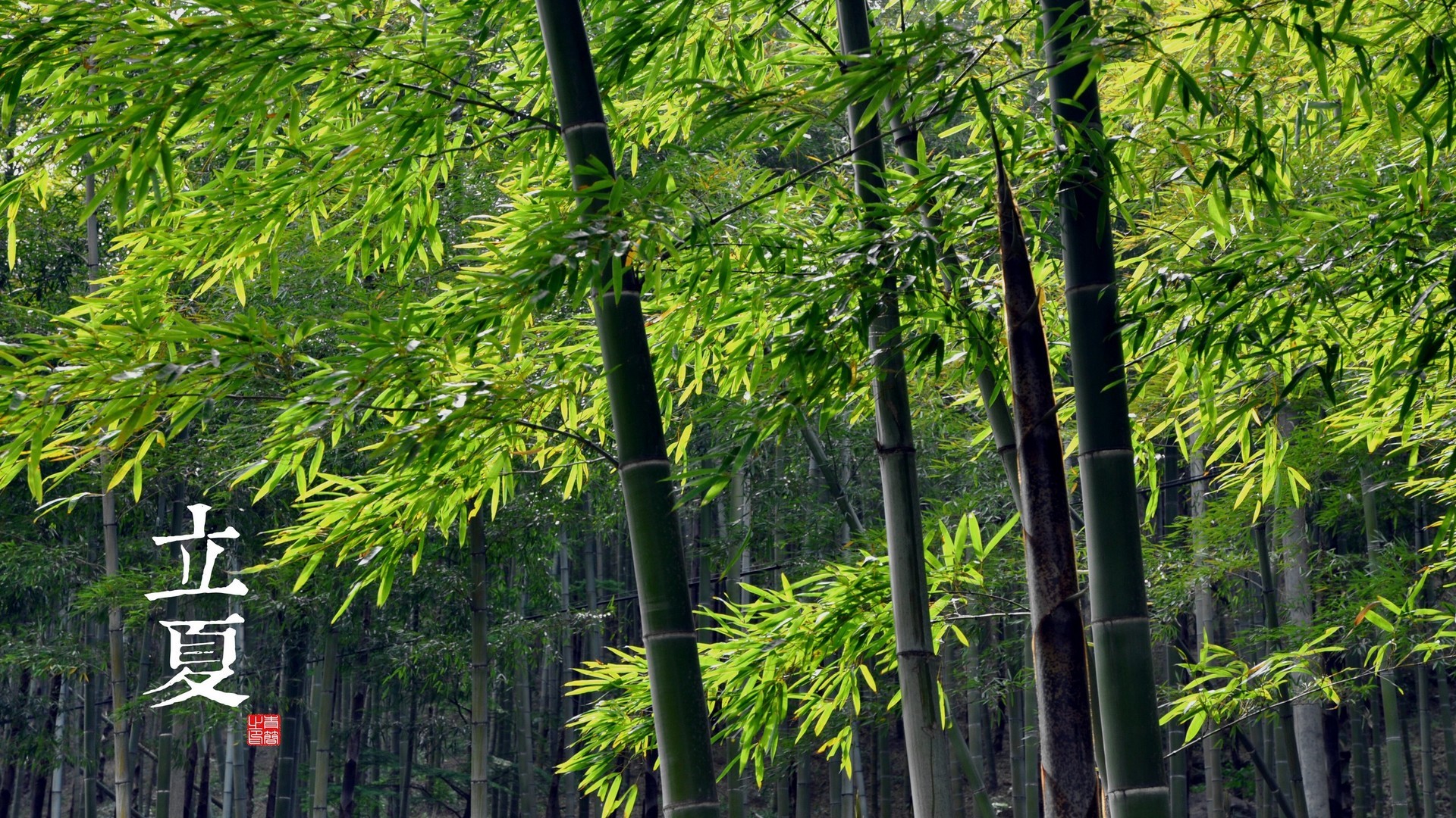 b2878c704820241011084333