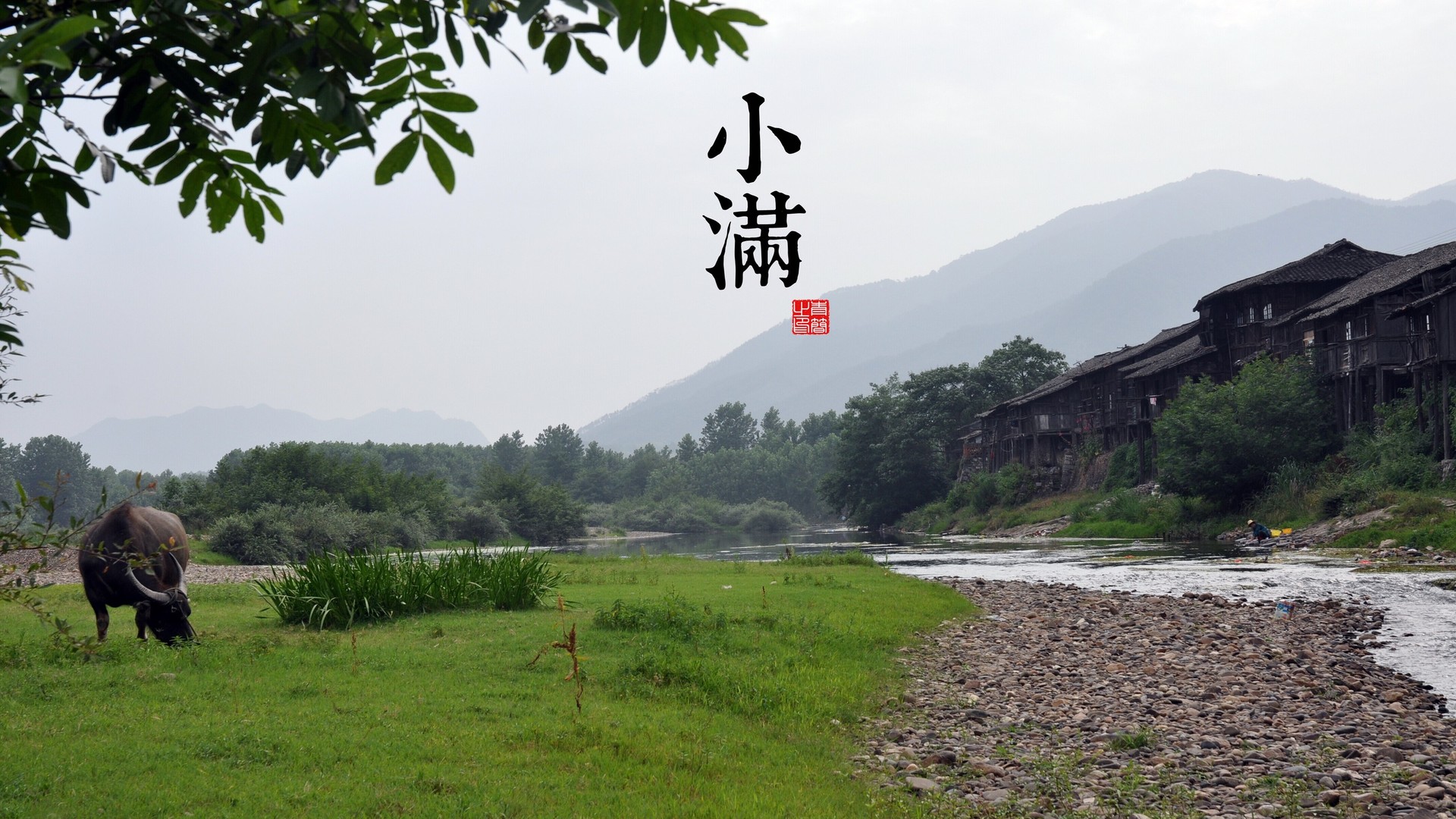 515724d10920241011084345