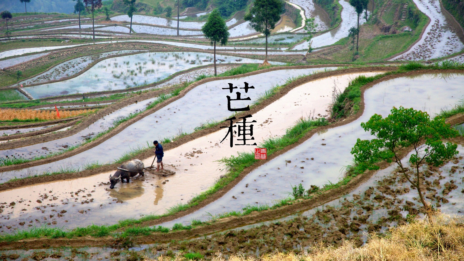 91608768c320241011084356