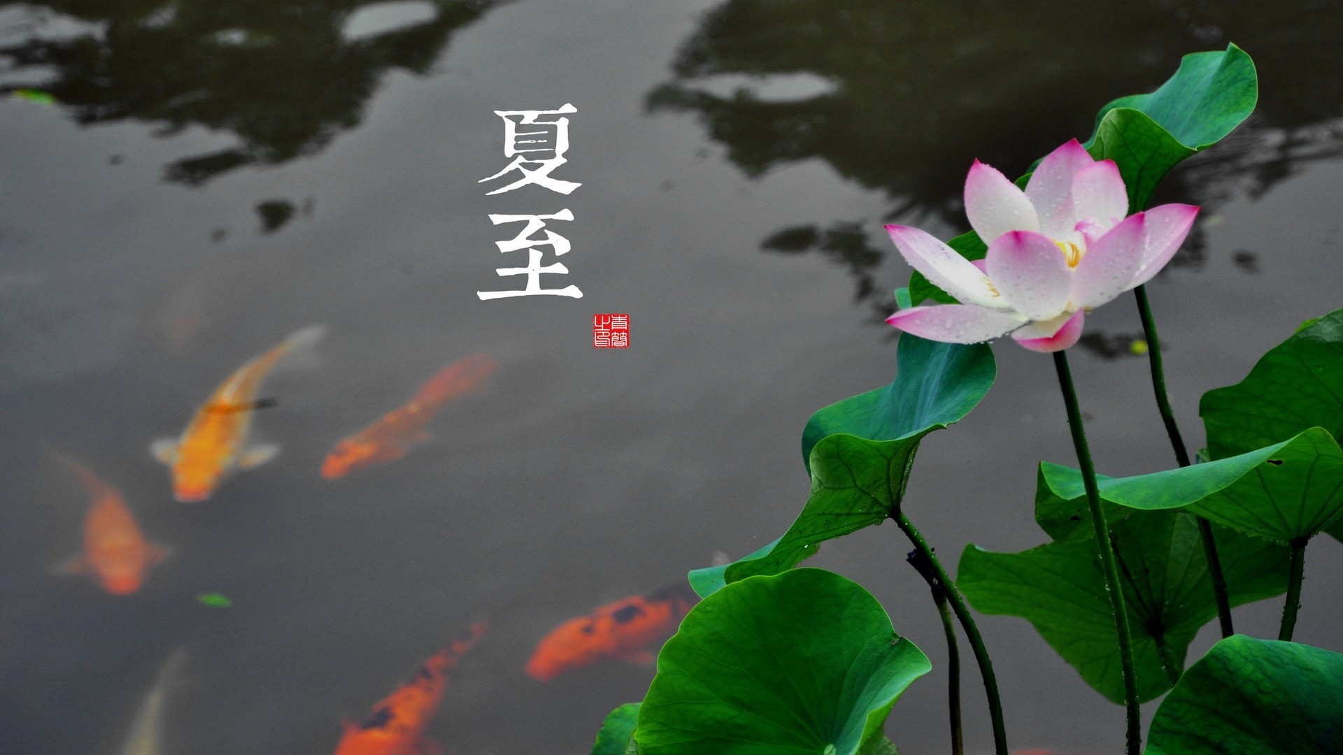 9183e63d6920241011084411