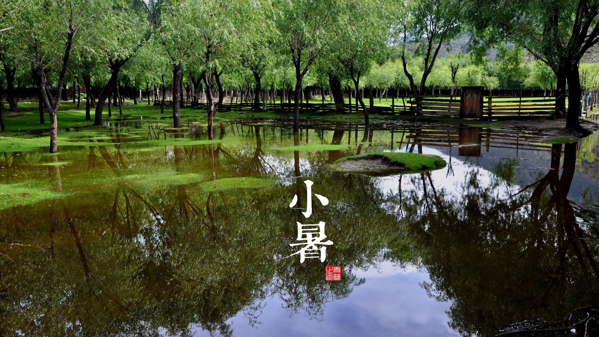 eb6a30945120241011084423