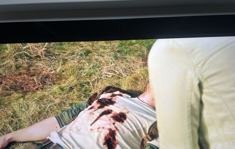 Apple TV +TCL的杜比视界问题。-抖有网